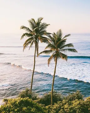 Photo 4 — EL DESTINO — eight plots by the beach in Kertasari